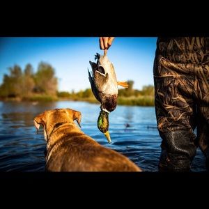 Meet your Posher, Kyle